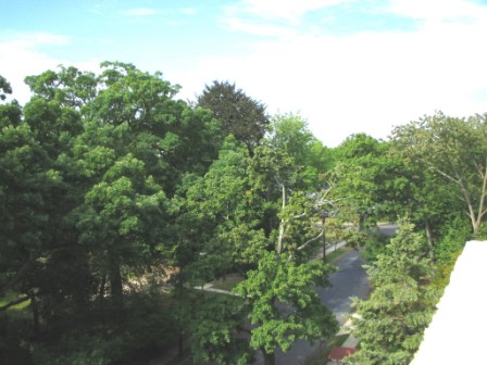 Home For Sale Summit NJ
