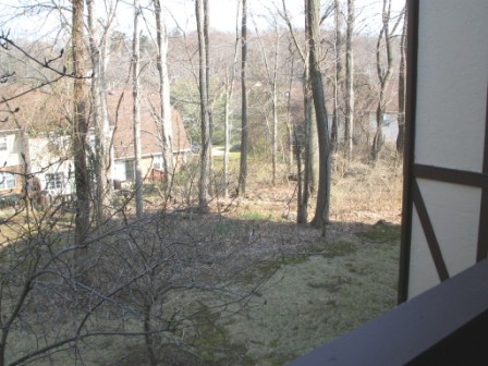 Chatham NJ